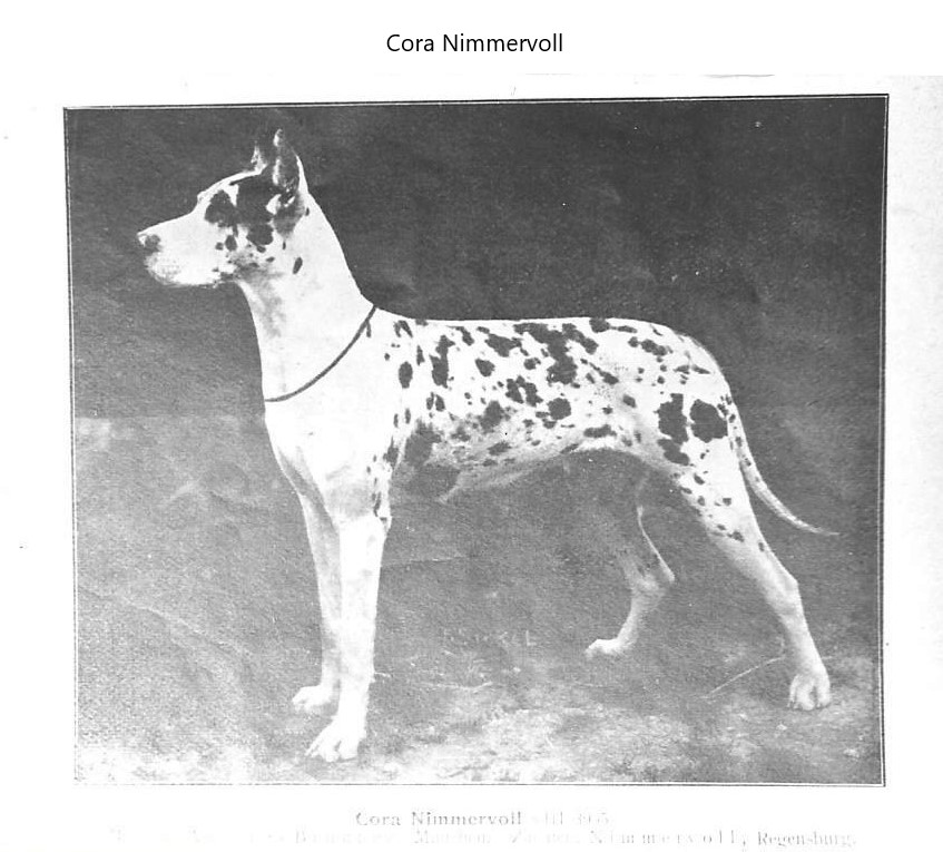 Cora Nimmervoll